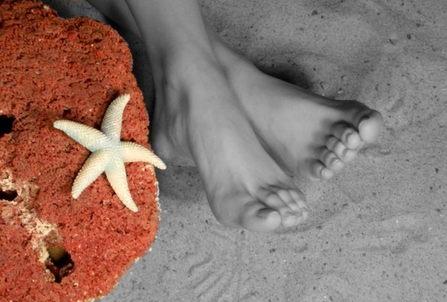 Happy Feet Logo Image